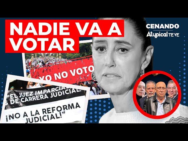 ¡LE DAN LA ESPALDA! Encuestas revelan que mexicanos no votarán en la elección judicial de Sheinbaum