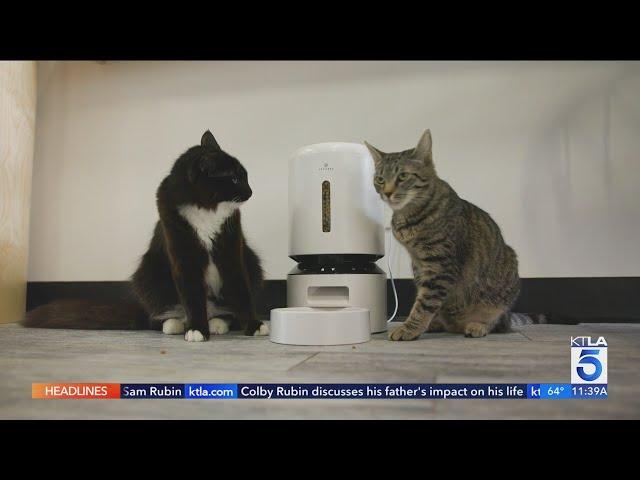 High-Tech Cat Accessories Make Pet Care Easier