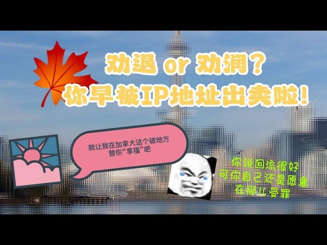 劝退or劝润？你早就被IP地址暴露无遗！