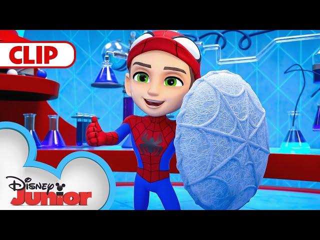 Spin Saves the Day | Marvel's Spidey and his Amazing Friends | @disneyjr