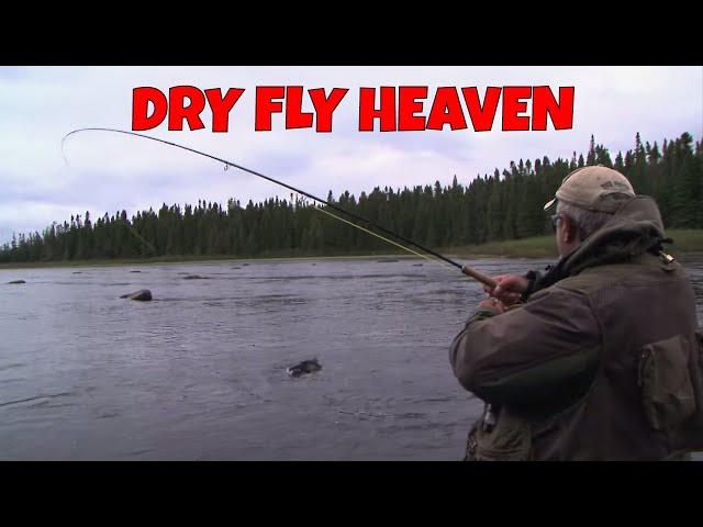 Dry Fly Heaven | Labrador Brook Trout Fantasy