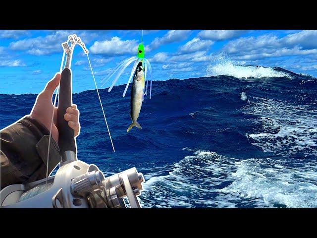 Tunas Were BITING In A ROUGH Ocean (Outer Banks Tuna Fishing)