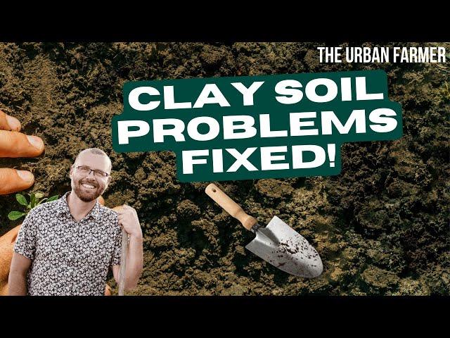 THIS Is The BEST Way To AMEND Clay Soil