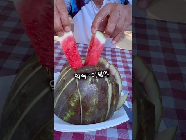 더운날엔 누가 뭐래도 수박이쥐!!