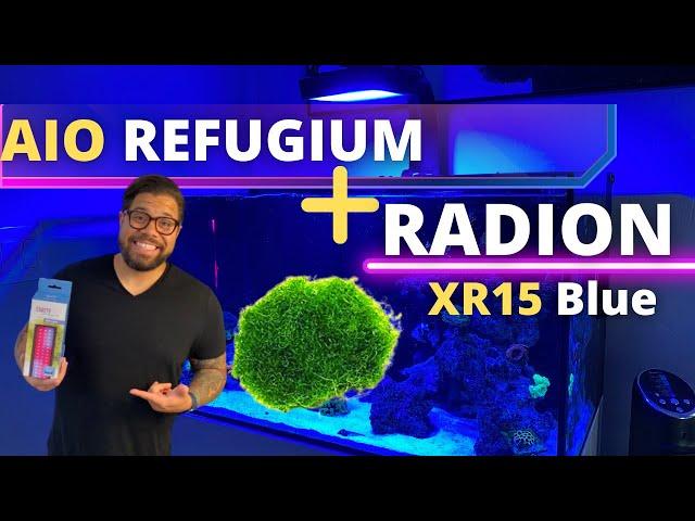 RADION XR15 BLUE + AIO REFUGIUM---REEF UPDATE