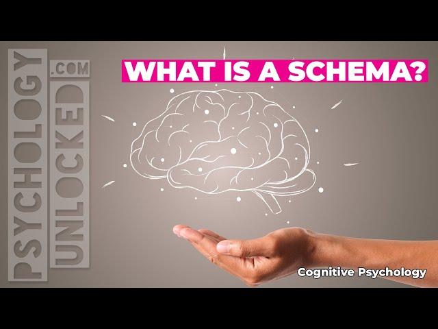  What is a schema?  Cognitive Developmental Psychology