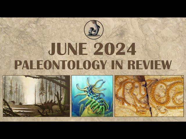 June 2024- Paleontology in Review