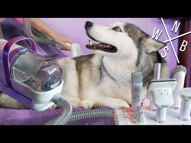 Pet Grooming Kit - Unboxing & Review