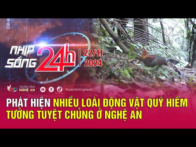 Bản tin Nhịp sống 24h - 22/11: Phát hiện nhiều loài động vật quý hiếm tưởng tuyệt chủng ở Nghệ An