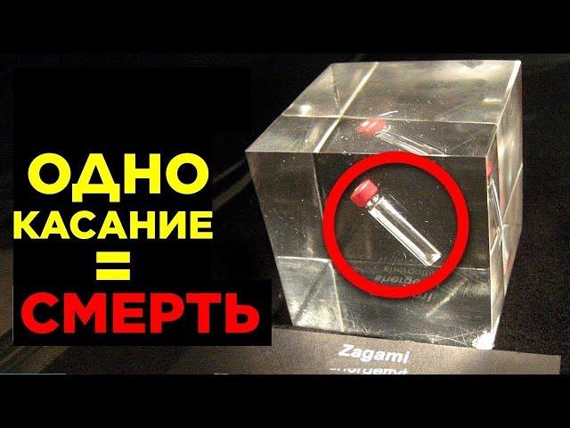 Проклятые Объекты, Которых Боятся Учёные