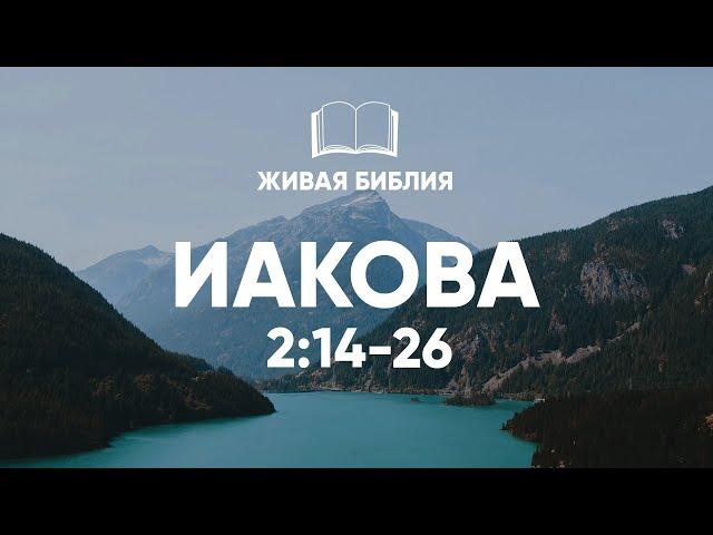 Живая Библия. Иакова 2:14-26 | Библия в видео формате