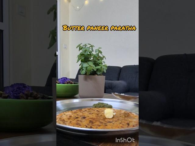 Little Indian Delight: Butter Paneer Paratha Treat. #food #foodie #tastyfood #fun