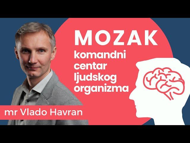 Mozak: najvažniji organ u ljudskom tijelu - mr Vlado Havran