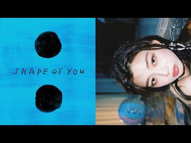 SHAUN-WAY BACK HOME X Ed Sheeran-Shape Of You [MASHUP]