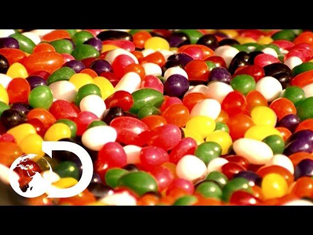 Jelly Beans | How It's Made