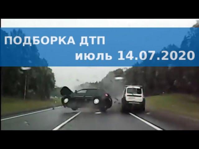 Олени на дороге, Подборка ДТП 14.07.2020