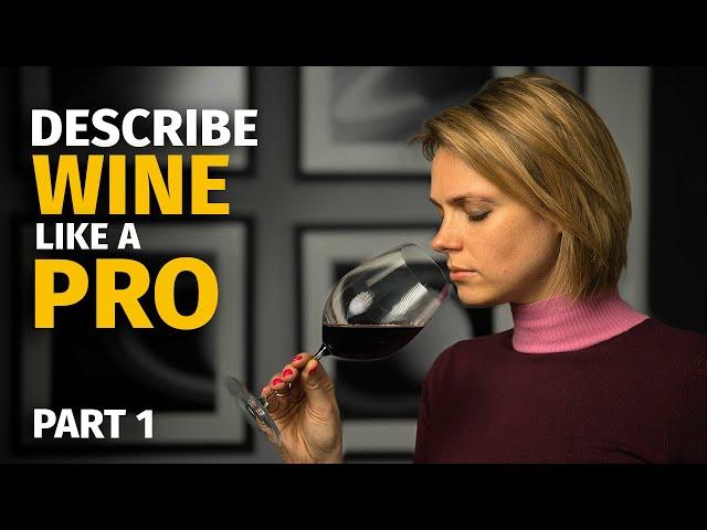 WINE TERMS: Describe Wine Like a PRO (Part 1)