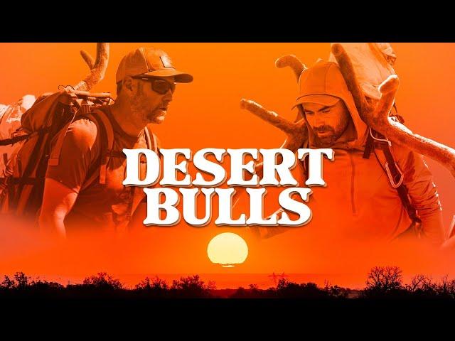 Desert Bulls - Elk Hunting in July with Adam Weatherby