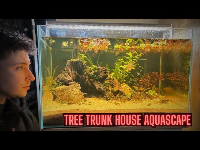 Community Tank Setup Gone Wrong? - Superfish Scaper 90 Setup