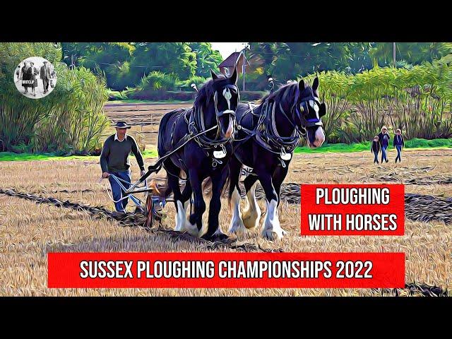 Ploughing with horses at the Sussex Ploughing Championships - #farming #ploughing