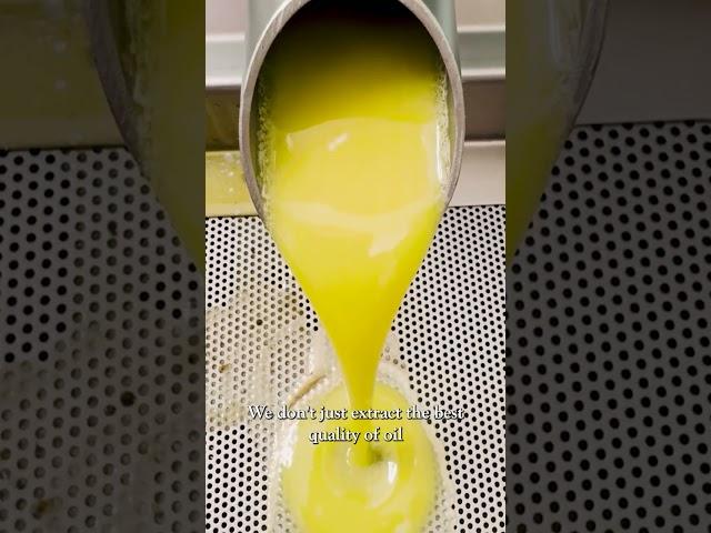 Experience why Dear Olives is renowned as the world’s best olive oil
