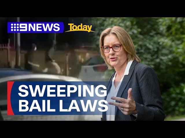 Premier Jacinta Allan hopes to pass sweeping bail reforms by next week | 9 News Australia