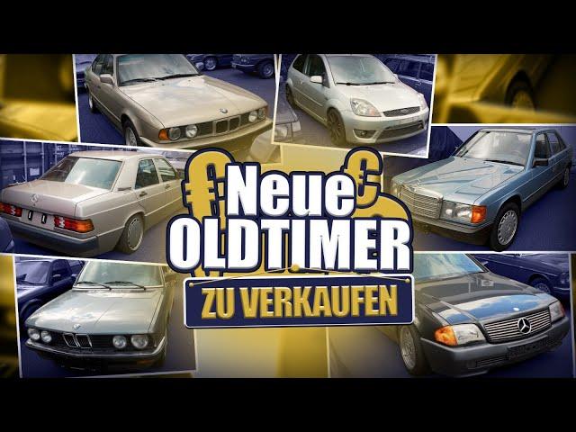 Warum die Autos JEDEN Petrolhead begeistern