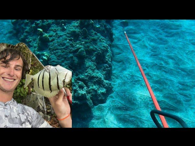 SPEARFISHING in HAWAII - 3 Prong CATCH N COOK - Ep 35