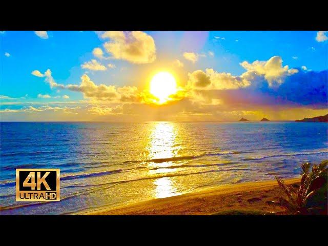 Sunrise from Kailua Beach in Oahu Hawaii | 12 Hours of Beach Sunrise + Ocean Waves