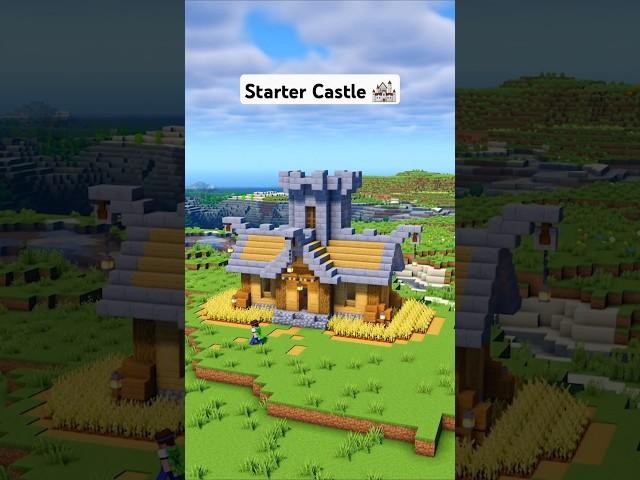 Minecraft Starter Castle  #minecraft