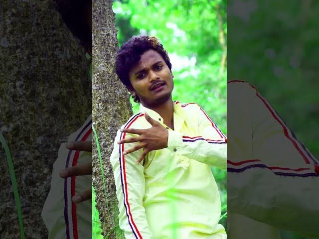 Piya ho pardesh me || Dhananjay Dhadkan super hit song || Sanjay Dhadkan