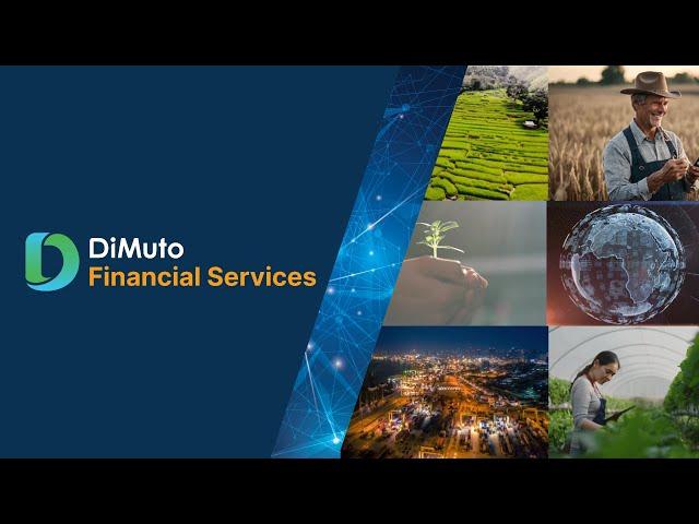 DiMuto Financial Services - Optimize Cash Flow and Grow Your Business