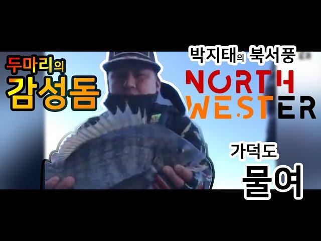 북서풍TV] 실시간 스트리밍10분 요약.