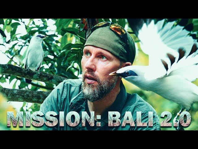 The Bali Starling - Saving an Entire Species | MISSION BALI 2.0