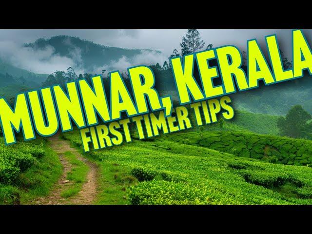 MUNNAR │ MUNNAR TOURIST PLACES │ DECEMBER │ KASHMIR OF SOUTH INDIA │ MUNNAR COMPLETE GUIDE