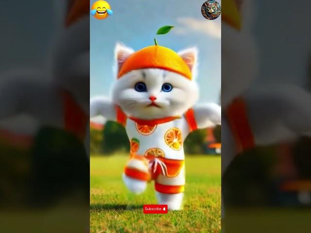 So Cute  Orange Cat Funny Broom Broom Dance  #cat #dance #funny #shorts