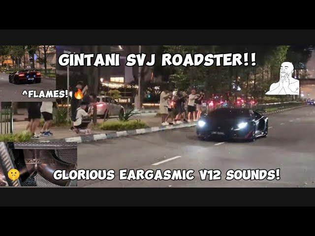 SINGAPORE'S GINTANI SVJ ROADSTER CAUSES CHAOS AT MW!! *Eargasmic* V12 sound! (Start up and send it)