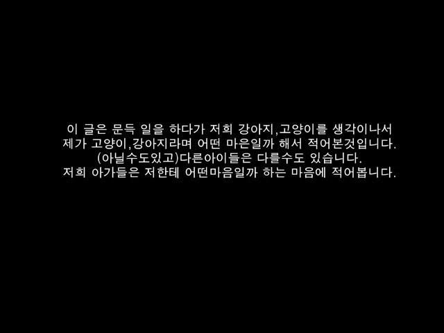 내가 강아지라면 내가 강아지가 된다면 내가 고양이라면  내 보호자님한테... 강아지 마음 댕댕이 슬픔 감동 사랑 개 고양이 마음 큰 개 작은 개 오브차카