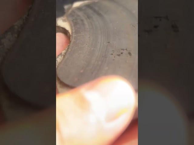 Replacing worn out Break pads #toyota #4x4 #prado #landcruiser #shorts #fyp #viral #smallbusiness