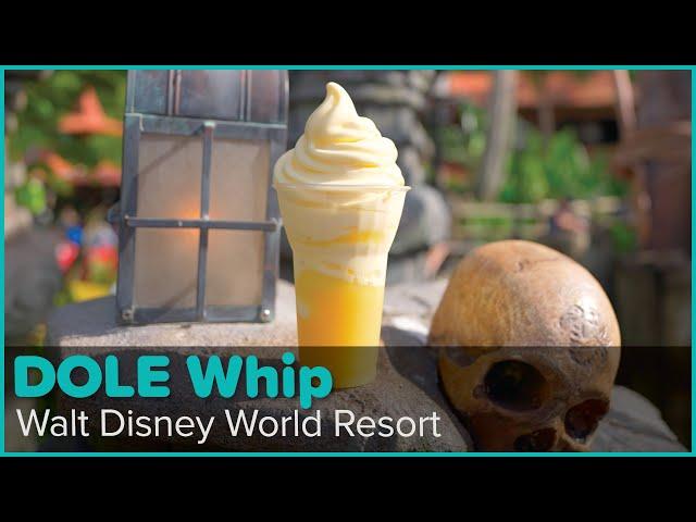 The Many Varieties of DOLE Whips at Walt Disney World