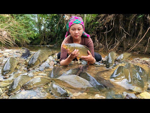 How to catch giant fish to sell at the market - Daily life of mute girl and 3-legged dog | Lý Tử Cai