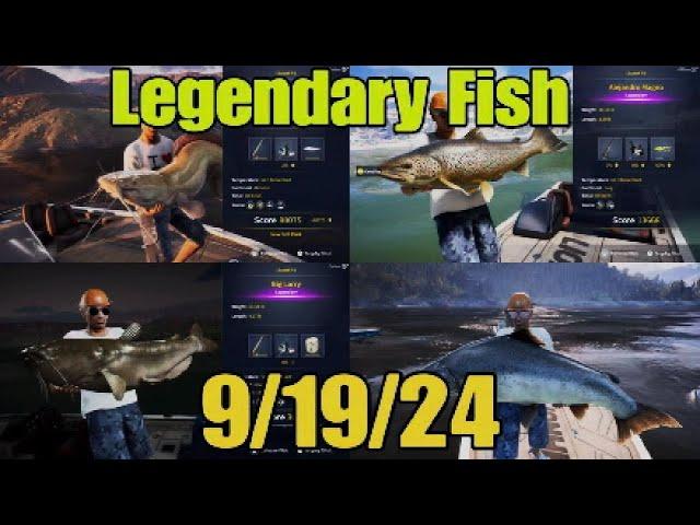 This Weeks Legendary Fish Simple Guide 9/19/24 - COTW The Angler