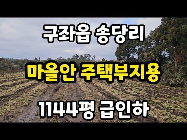 제주시 구좌읍 송당리 마을안 주택부지용 1144평 급인하 010 4436 0401 제주도부동산 토지 매매 급매물