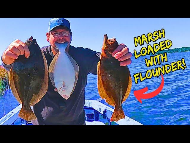 I Watched them *ATTACK* my Bait! FLOUNDER FISHING Clear, Shallow Water Marsh Flats for my DINNER!