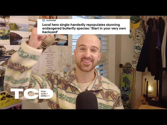 Local hero single-handedly repopulates endangered butterfly species