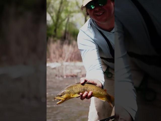 Fly Fishing for trout in the Rocky mountains