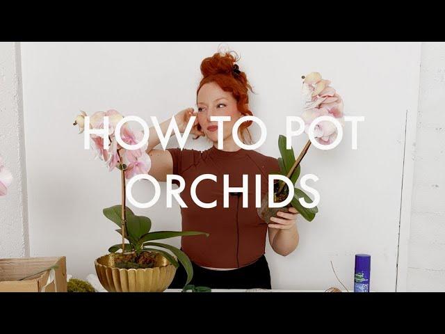 How To Make a *DECORATIVE* Orchid Planter | FLORA LUX