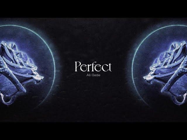 Ali Gatie - Perfect (Official Lyric Video)