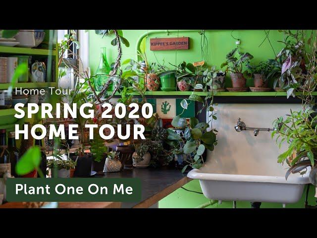 My Houseplant Home Tour: Spring 2020 — Ep 169