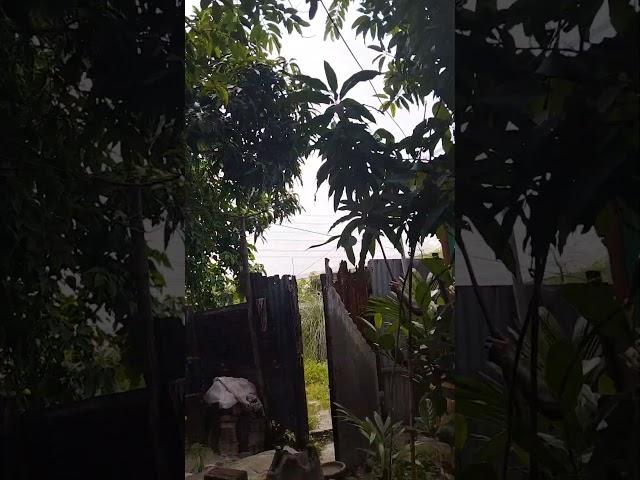 গ্রামে যাওয়ার আনন্দ।